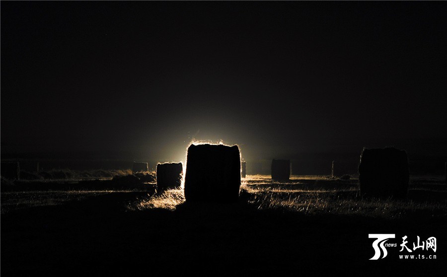 Rolls of grass: a beautiful landscape in Xinjiang