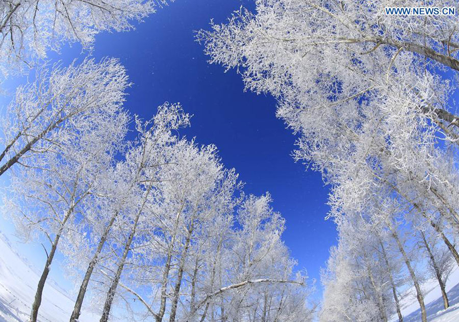 Gorgeous rime scenery in China's Xinjiang