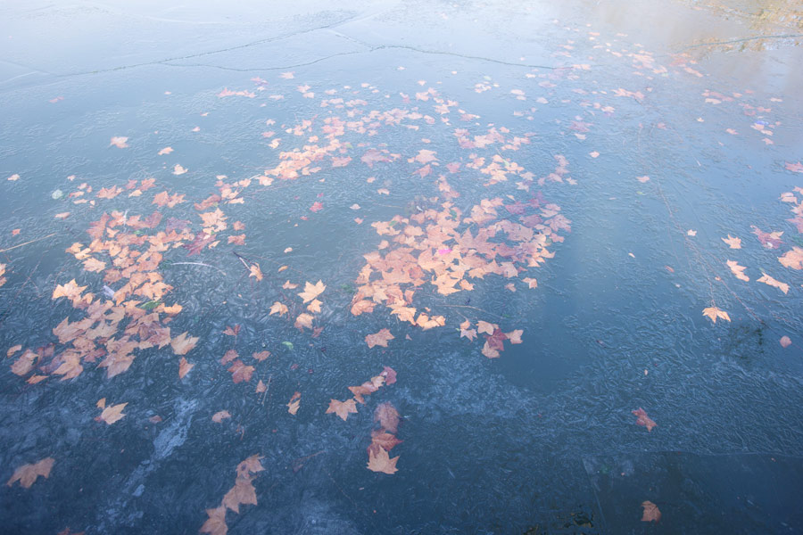 Cold snap brings joy and beauty to south China