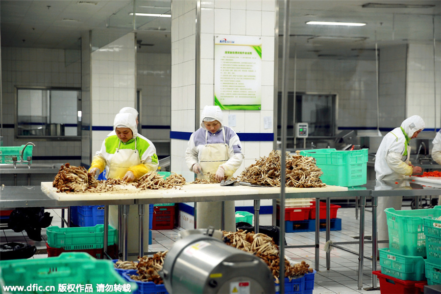 How food is made for high-speed rail