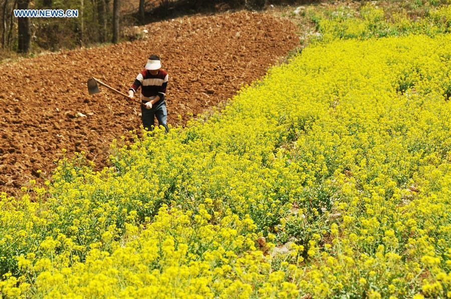 'Chunfen', or Spring Equinox, marked around China