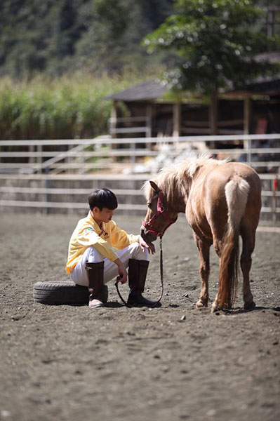 Once-endangered pony makes comeback