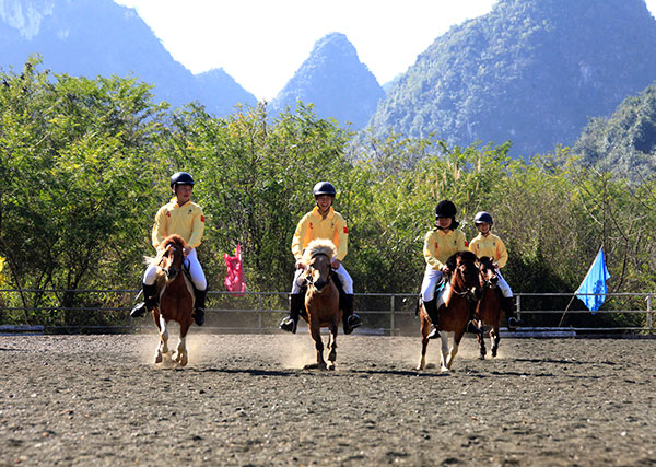 Once-endangered pony makes comeback