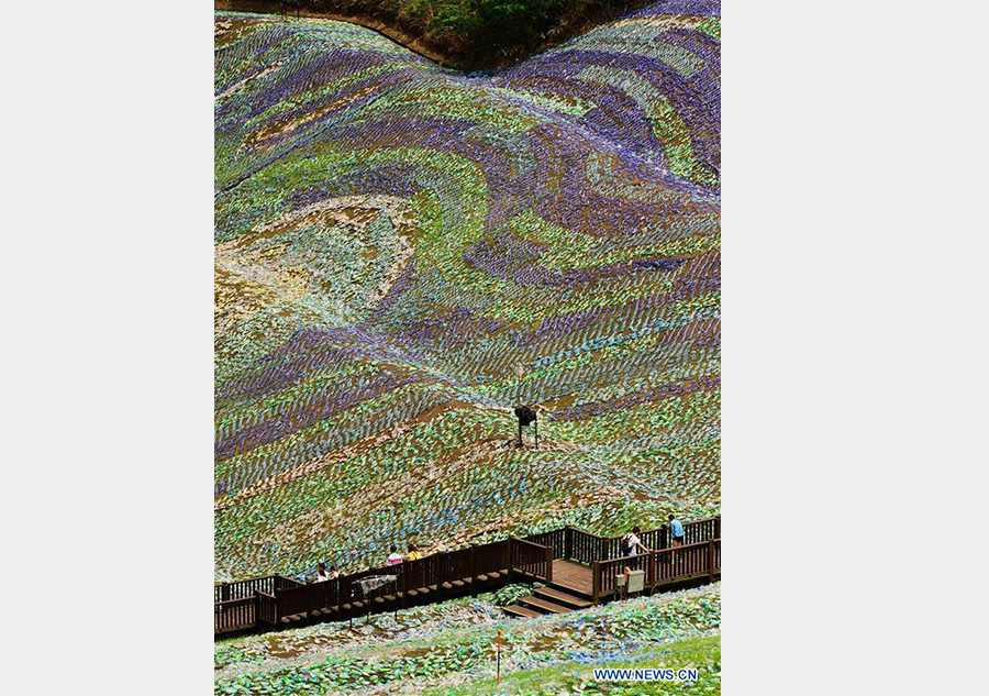 4m plastic bottles depict Vincent van Gogh's painting