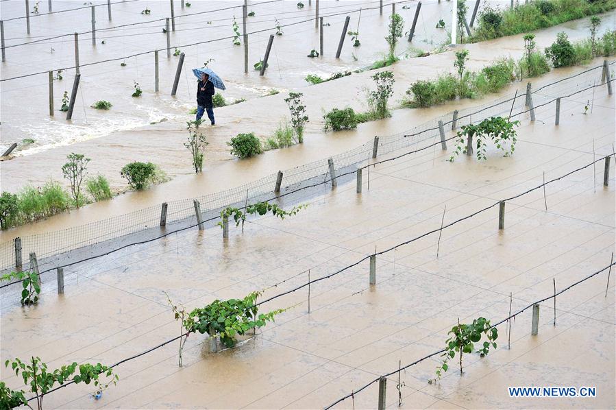 China warns of geological disasters as rainstorm triggers another orange alert