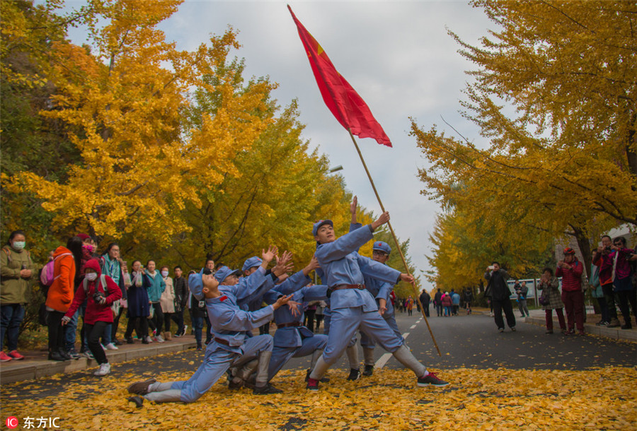 Gingko trees add color to Long March commemoration