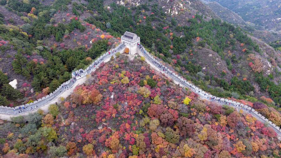 Colorful leaves adorn Great Wall in Beijing