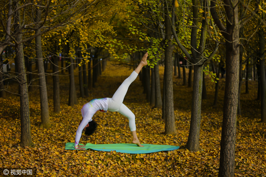 Yoga among the gingko trees