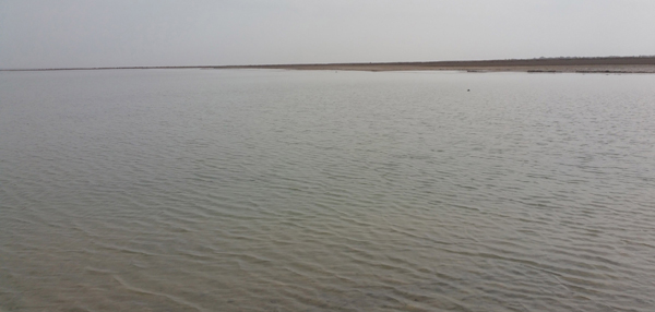 Dried-up Har Lake reappears in desert