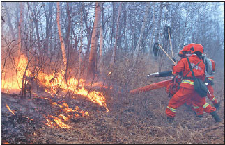 Thousands sent to fight new forest fire in Inner Mongolia