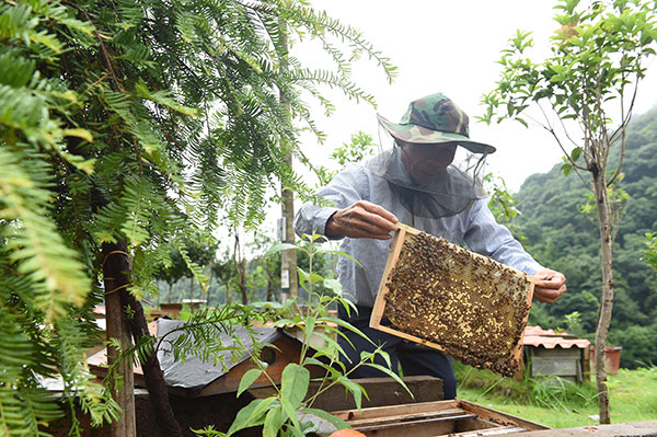 Root and branch reform helps raise farmers' incomes