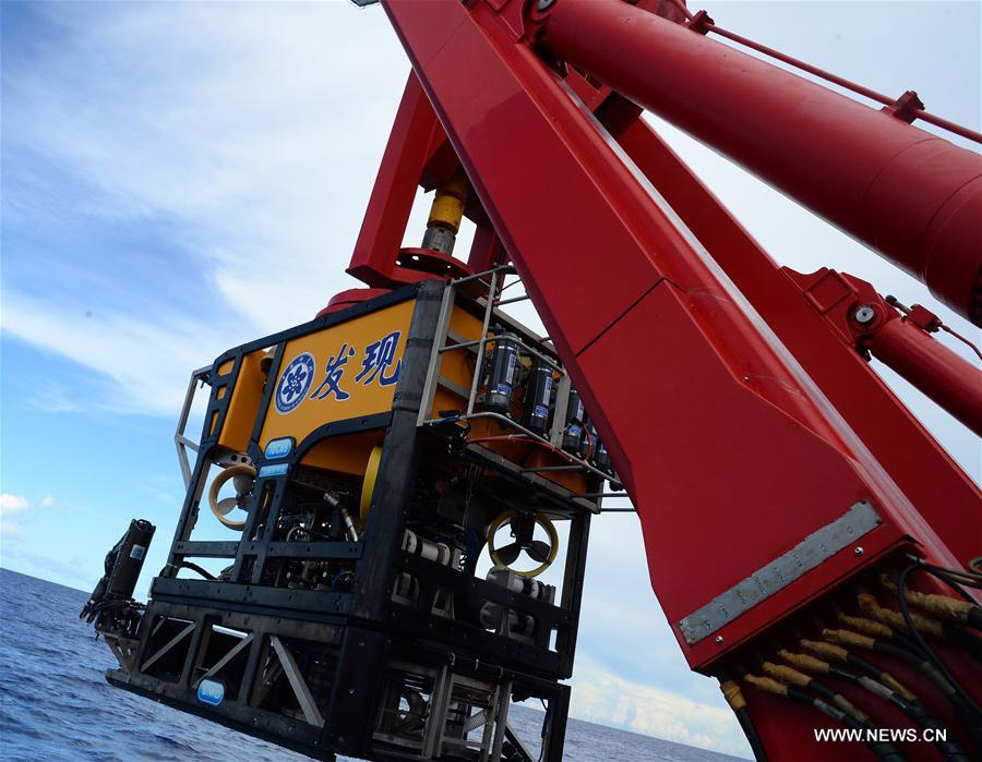 China's Discovery ROV finds coral forests, sponge field in Pacific Ocean