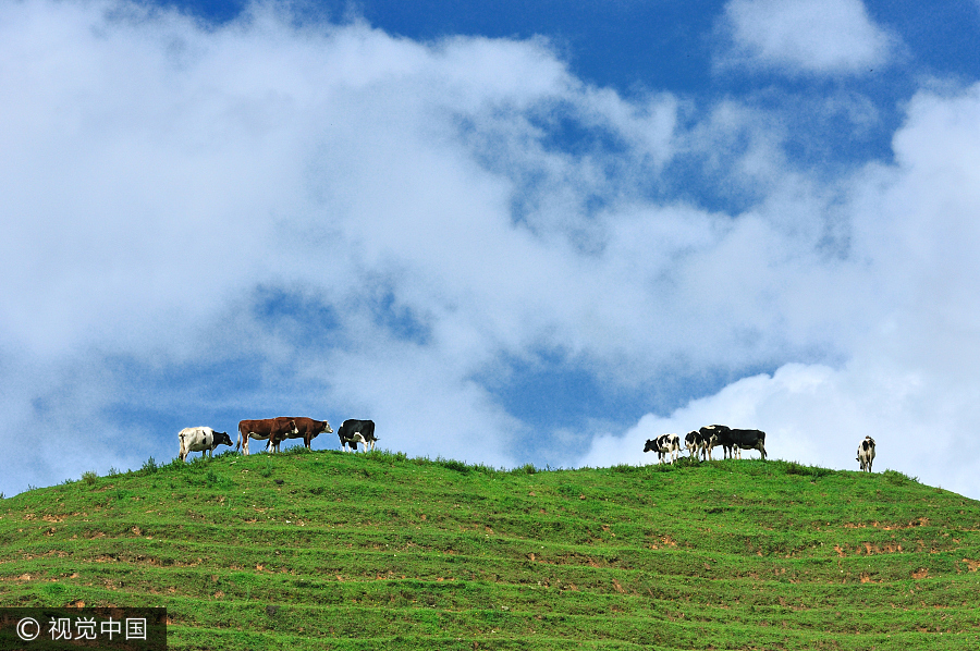 China's national parks: Natural, scenic and wild