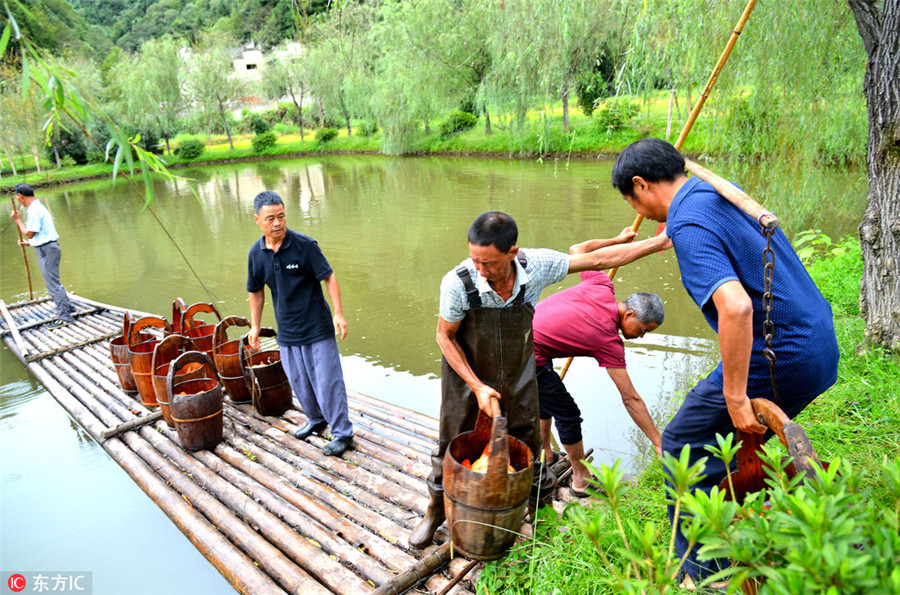 Farmers 'draw' love to motherland with red carps in river