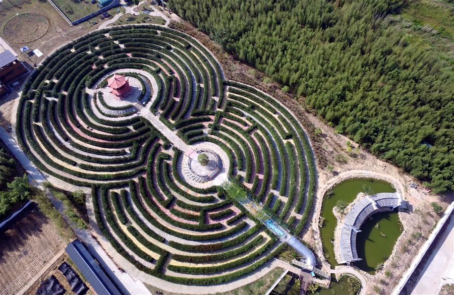 Leisure farming projects built to promote ecological agriculture in Fujian