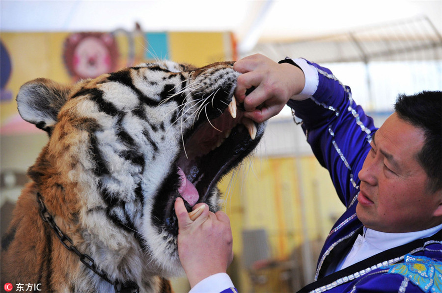 Ten photos from across China: Nov 17-23