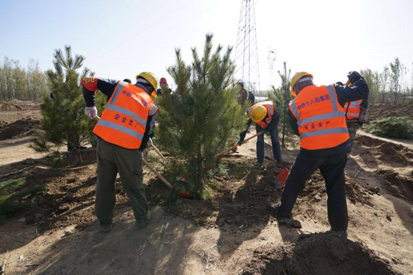 Over 32,000 trees planted in Xiongan