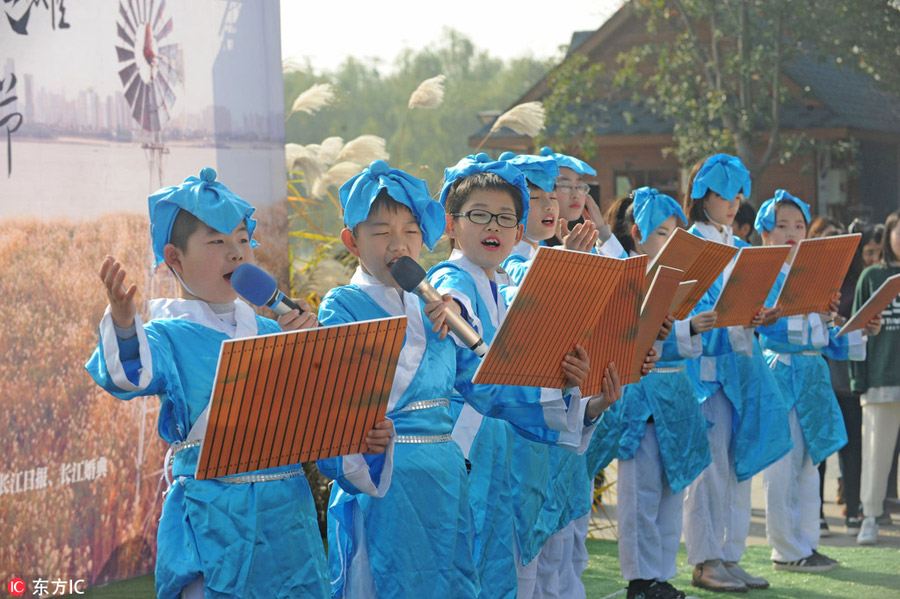 Reed Catkin Festival held in Wuhan