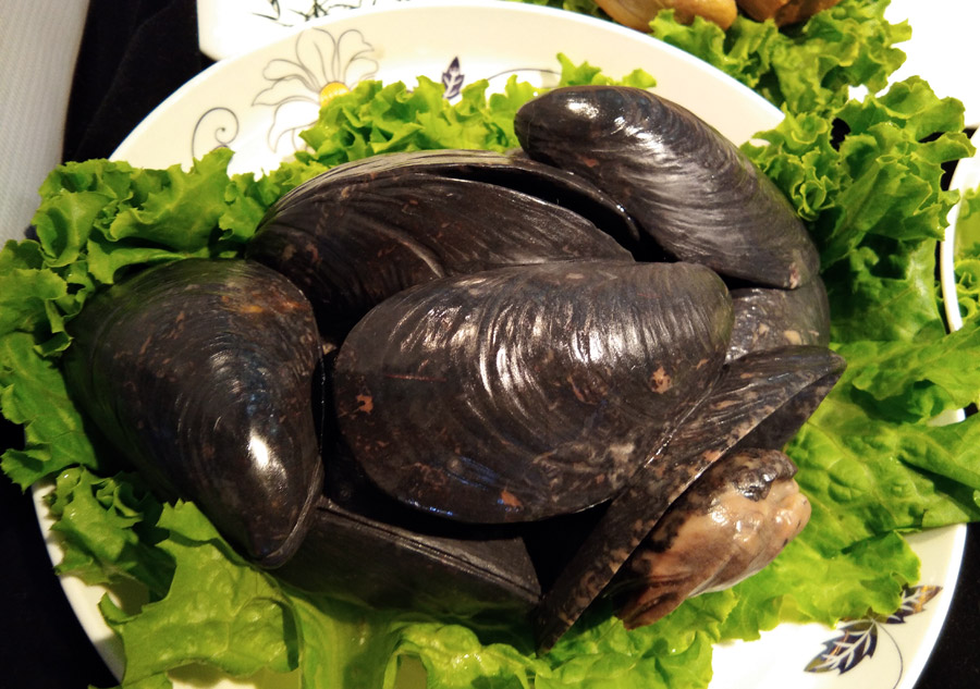 Feast of stones exhibited in Changchun