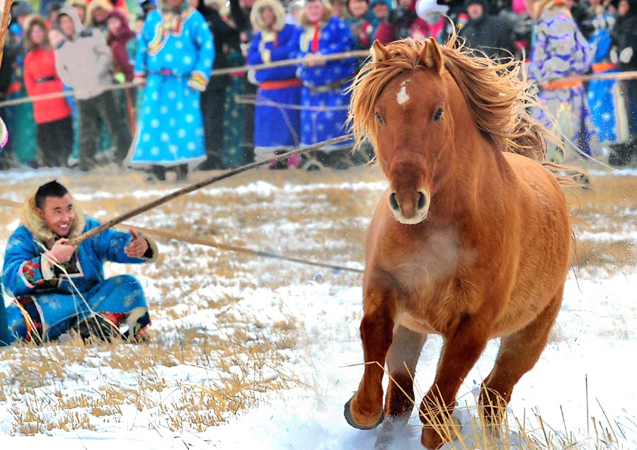 Winter Naadam festival displays horse culture