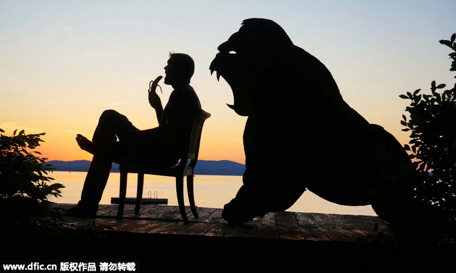 Captivating background captures man and his cardboard friends