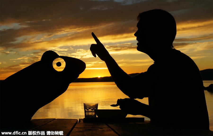 Captivating background captures man and his cardboard friends