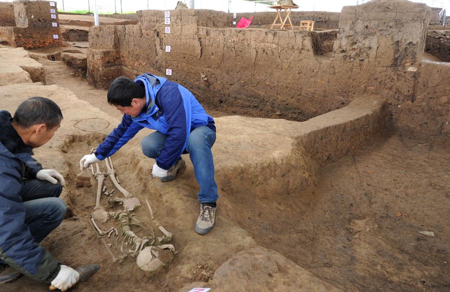 Traces of human activities dating back a million years found in Shaanxi