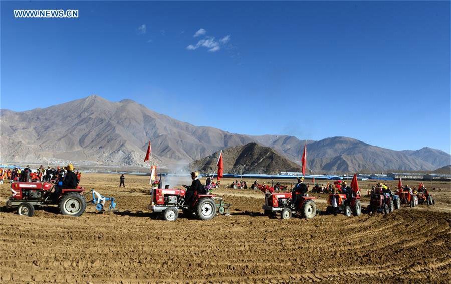 Farmers celebrate traditional spring ploughing in Tibet