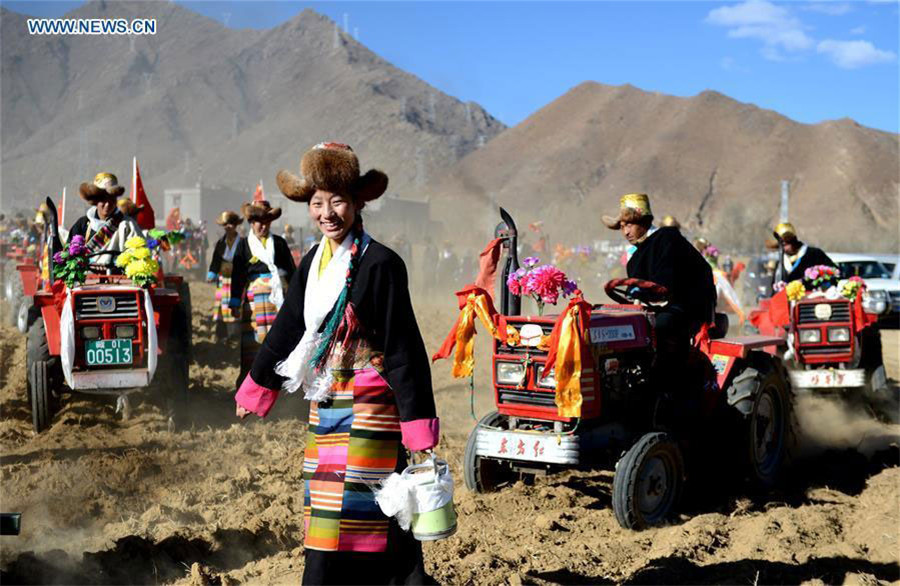 Farmers celebrate traditional spring ploughing in Tibet