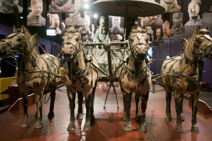 China's terracotta warriors exhibited at Chicago's Field Museum