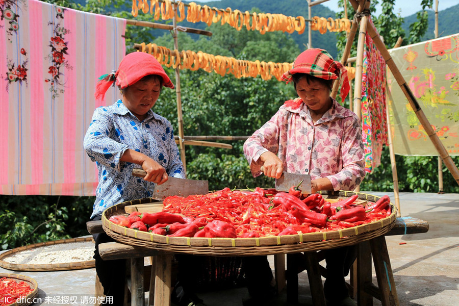 Wuyuan celebrates the Autumn Sun Cultural Festival