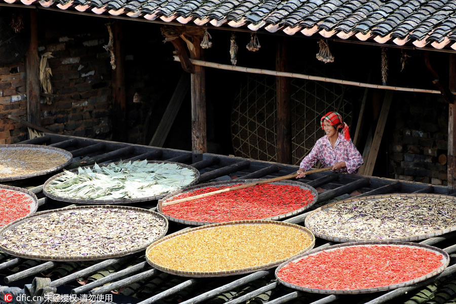 Wuyuan celebrates the Autumn Sun Cultural Festival