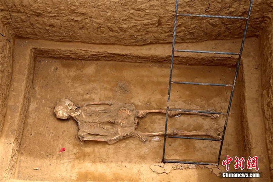 Tomb complex of Eastern Zhou Dynasty discovered in Henan