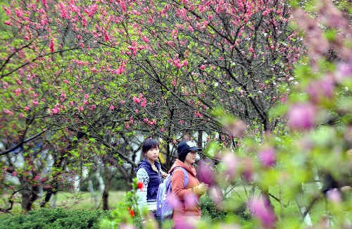 沉醉桃花源不知魏晉