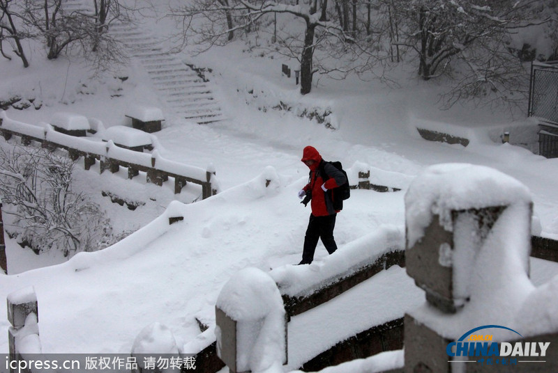 黃山暴雪 最大積雪深度超56厘米