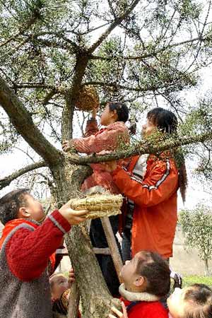 School launches bird protection activities