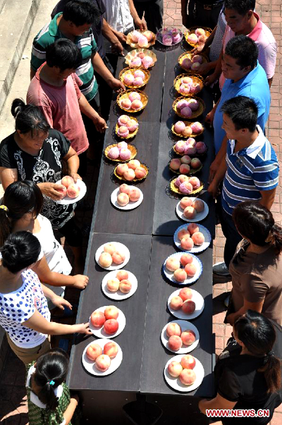 Peach contest in China's Shandong