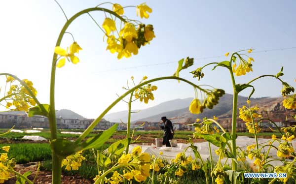 Farm work across China