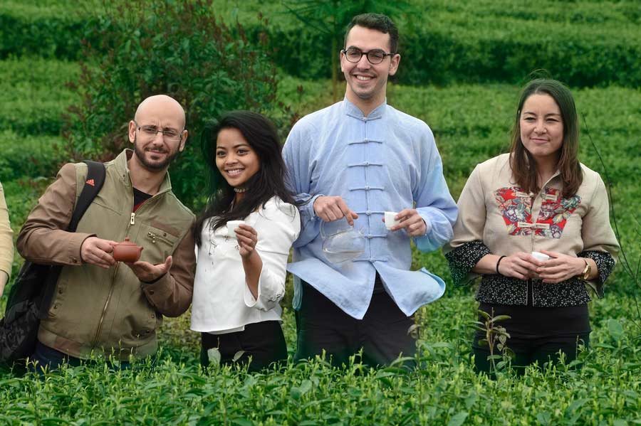 Expats get a 'taste' of Chinese tea culture in Guizhou