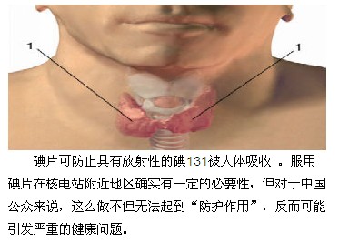 關注福島核恐慌：謠言不能拯救你