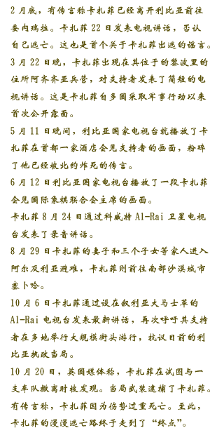 “沙漠雄獅”隕落記