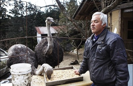 日本農民為照顧動物堅守核輻射區 生命堪危 