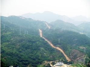 觀音山之殤-觀音腳下打洞，公園核心毀林