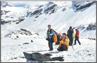 Chinese warming up to holiday in Antarctica