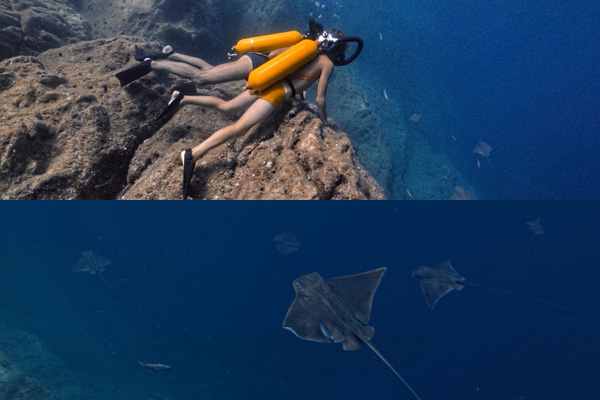 French director brings life of legendary ocean explorer to big screen