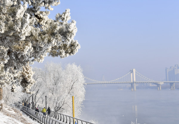 Rime transforms Jilin city into winter wonderland