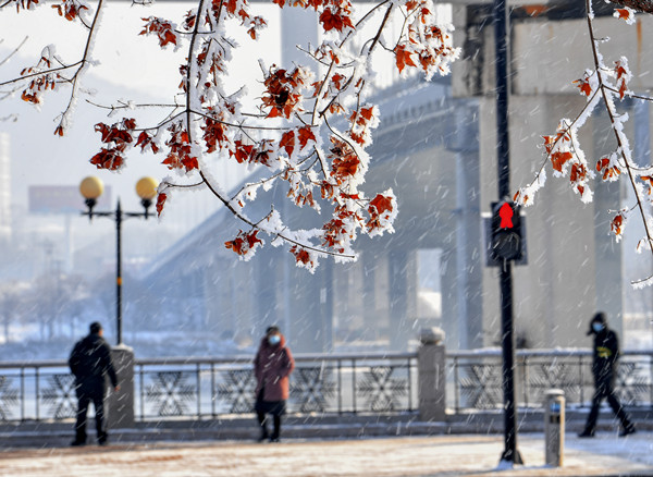 Rime transforms Jilin city into winter wonderland