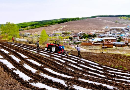 NE China's Jilin strengthens grain safety