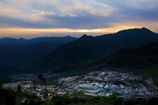 Beautiful terraced fields in Fujian