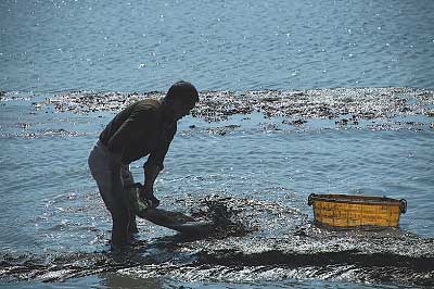 Longhai: hidden gem on the coast of Fujian